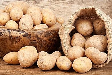 《美少女梦工厂2 韶华再续》Steam页面上线 7月10日发售